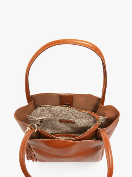Sac Porté épaule Helena Cuir Francinel Marron helena 22945 vue secondaire 2