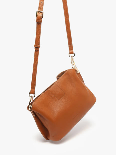 Sac Bandoulière Helena Cuir Francinel Marron helena 22944 vue secondaire 1